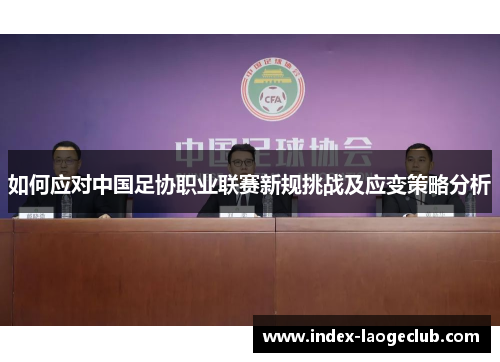 如何应对中国足协职业联赛新规挑战及应变策略分析