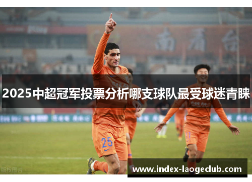 2025中超冠军投票分析哪支球队最受球迷青睐