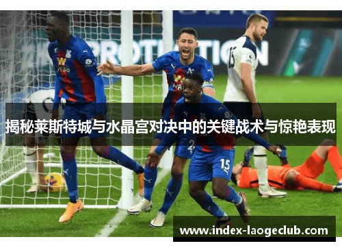 揭秘莱斯特城与水晶宫对决中的关键战术与惊艳表现