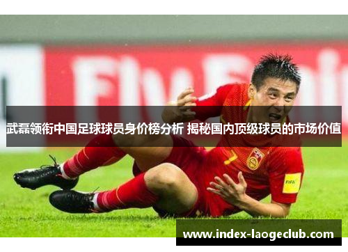 武磊领衔中国足球球员身价榜分析 揭秘国内顶级球员的市场价值