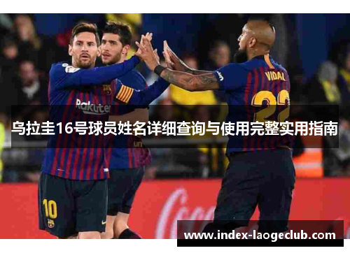 乌拉圭16号球员姓名详细查询与使用完整实用指南