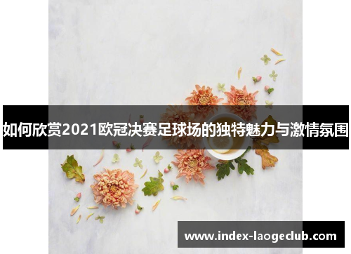 如何欣赏2021欧冠决赛足球场的独特魅力与激情氛围