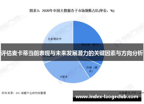 评估麦卡蒂当前表现与未来发展潜力的关键因素与方向分析