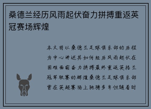 桑德兰经历风雨起伏奋力拼搏重返英冠赛场辉煌